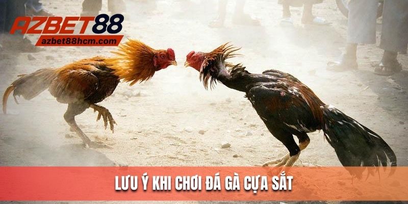 Lưu ý gửi kê thủ khi chơi đá gà cựa sắt